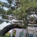 각남면사무소 이미지