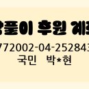 루시드동물메디컬센터