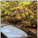 곡성-173 이미지