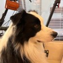 반월당역 이미지