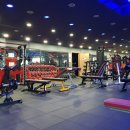 에이스GYM