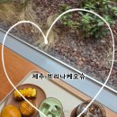 제주오라투어 | - 사슴히의 카페투어: 제주 브리나케오슈 카페후기(제주추천카페, 디저트맛집, 브릭맛집, 두쫀쿠맛집...
