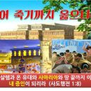 나의오후 이미지