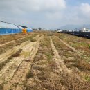 성곤농장 이미지