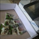 솔잎농장 이미지