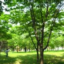 석호공원 이미지