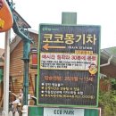 일광이용원 - 기장군 일광로 106-1 | 아이들과 놀러갈만한곳 너무 알차게 놀다 왔어요 ♬