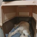 비트켄넬 이미지