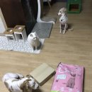 우리집밥 이미지