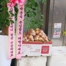 진심분식