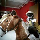 엔젤퍼피 이미지