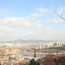 H9024 Daum카페