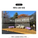 포이테니스장 | 양재 플렉스테니스클럽 앳 강남(양재FLEX) 예약방법 가격 방문 후기