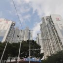 반도보라 이미지