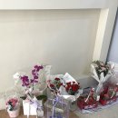 석삼말로3 이미지