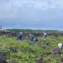 행원환해장성 이미지