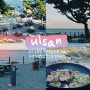 산업로1-12 | 울산 보밑항 피크닉장 방문 후기: 바다 뷰 힐링 스팟으로 강력 추천!