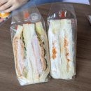 삿포로 산도리아 메뉴 추천 sandria 에비마요 후르츠산도 포테이토샐러드 후기