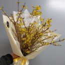 개나리꽃집 이미지