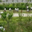 고잔고등학교 이미지