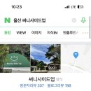 써니사이드업 이미지