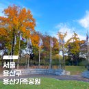 [평일여행]11월19일(화)용산가족공원 단풍(청와대가 보이는곳으로) 이미지