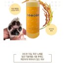 이네애견샵