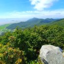 대신한증막 이미지