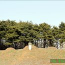 이시백 묘 이미지