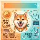 덕수동물병원 이미지