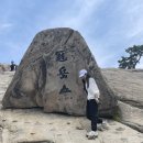 관악산 등산코스 추천 초보 서울대 연주대 정상 후기