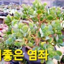 예일농장 이미지