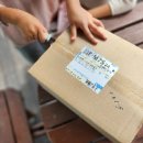 화석 | 파리엘티디 고대 화석 TOOB 후기 — 아이와 함께 떠난 공룡시대 탐험