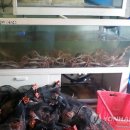 경주수산유통 이미지