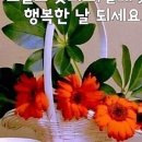 행복통신 이미지