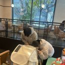미미김치 이미지