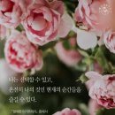 바른피부샵