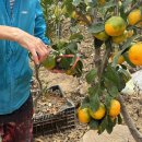 월봉농장 이미지