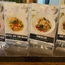 스타애견 이미지