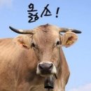 공감 이미지