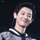 그린네이처 이미지