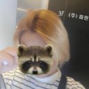 부평십정동점 이미지