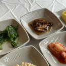 [강원/속초] 속초어장물회 | 쯔양 속초맛집 속초어장물회 전복죽 속초비빔물회 후기