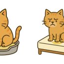 댕댕이 머리하는 날 이미지