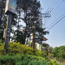 명산100+ 검단산 &amp; 남한산 산행, 걷기 참 좋다