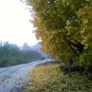 모퉁이 - 수원시 장안구 서부로2168번길 13-10 | 모퉁이