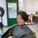 하대동314 이미지