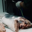 철이수산 - 구리시 딸기원로 98-13 | 철이수산