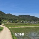 남천제방길 네이버블로그