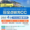 오션비치 이미지